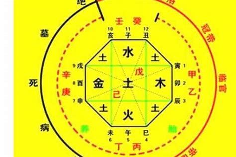 忌木|八字算命：八字忌木是什么意思